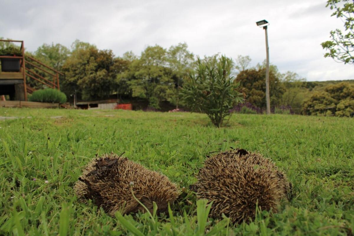 Appartamento Quinta Da Devesa B1 Vinhais Esterno foto