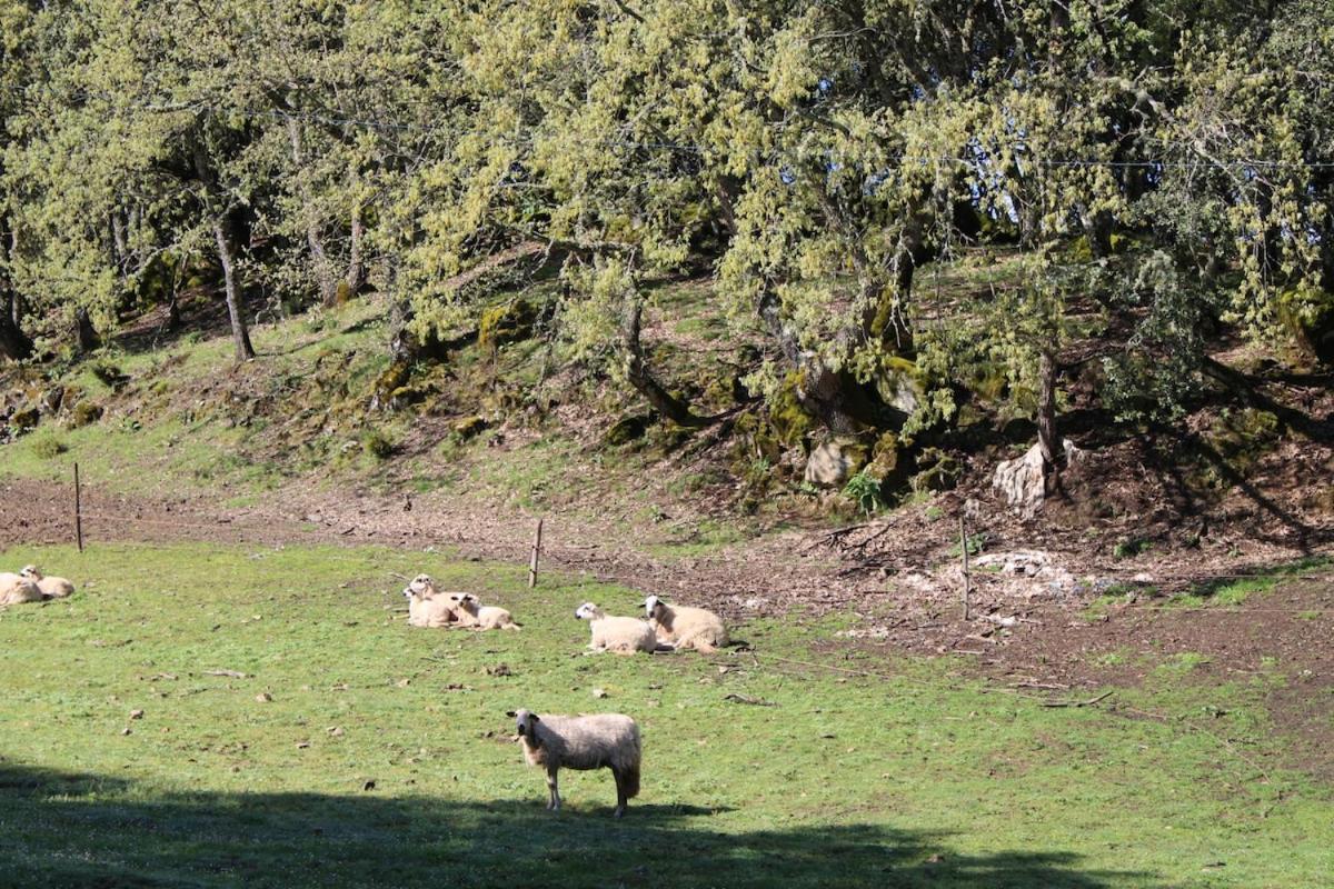 Appartamento Quinta Da Devesa B1 Vinhais Esterno foto