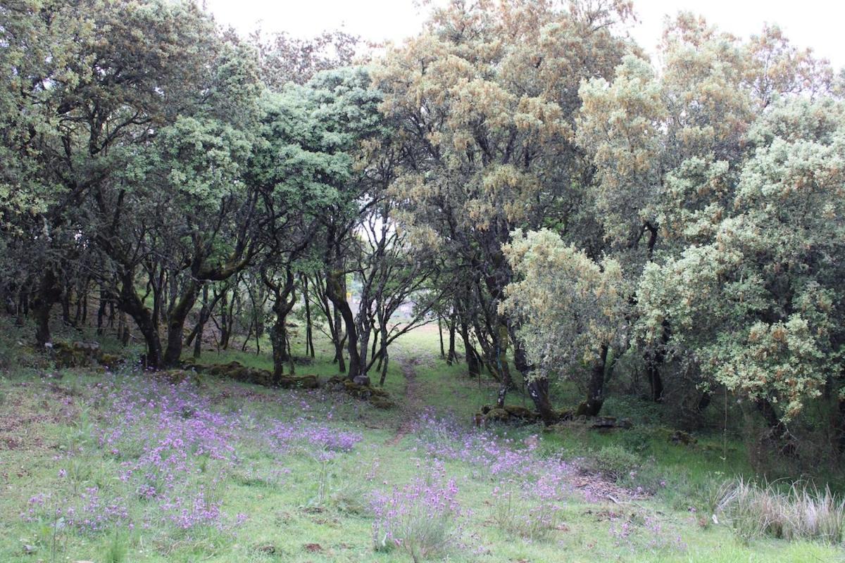 Appartamento Quinta Da Devesa B1 Vinhais Esterno foto